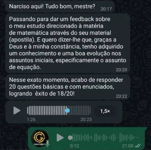 Feedback de Narciso — evolução em matemática, 18 de 20 questões